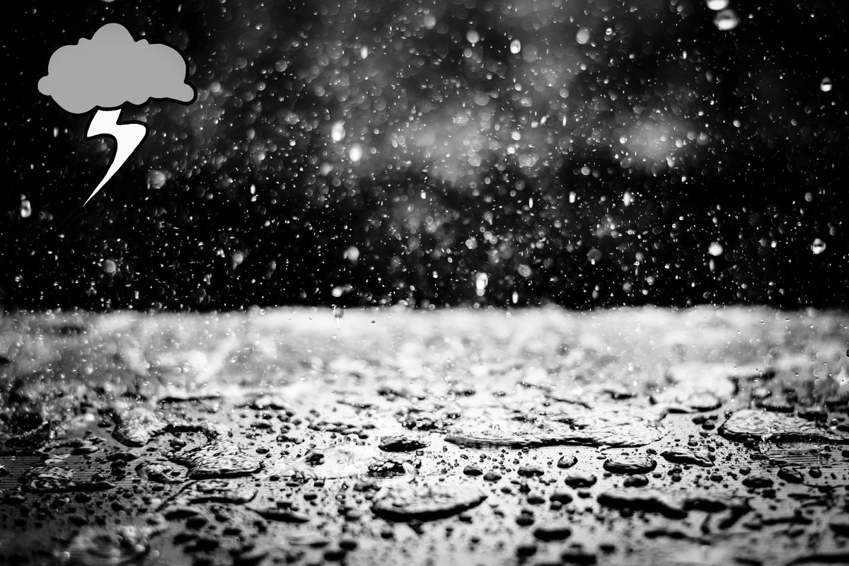 Web hosting, software development, and backups.